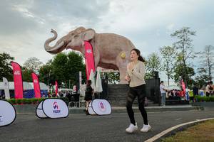 BIB: 
                            <button type="button" onclick="openModal(26528637)" class="btn btn-primary btn-sm float-right btn-popup" data-toggle="modal" data-target=".modal-high-quality">
                        <i class="fas fa-shopping-cart"></i> Add to Cart
                    </button>
                                            <button type="button" onclick="isThisMe(26528637, true)" class="btn btn-success btn-sm float-right btn-popup btn-isme hidden" data-toggle="tooltip" data-placement="bottom" title="นี่คือรูปของคุณใช่ไหม คลิกที่นี่เพื่อเอาเข้าอัลบั้ม">
                        <i class="fas fa-plus"></i> Add to album
                    </button>
                    <button type="button" onclick="isThisMe(26528637, false)" class="btn btn-warning btn-sm float-right btn-popup btn-isnotme hidden">
                        <i class="fas fa-ban"></i> Remove from album
                    </button>